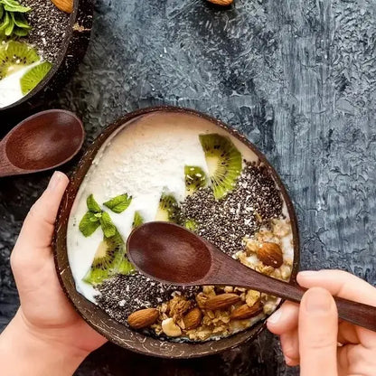 Vacker melerad skål av kokosnöt